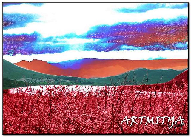 Karoo Orchard